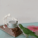[모두드루와] <b>저금</b>하는 앵무새.gif
