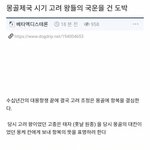 [댓글부탁해] 몽골에게 <b>항복</b>한 고려의 줄타기 실력