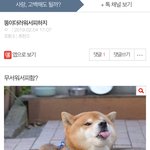 <b>니사진</b>이나 올려