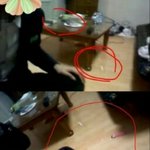 엑소팬들 타팬<b>인척</b> 시비거는거 웃기네