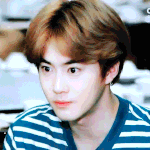 [EXO] <b>샤방샤방</b>