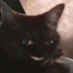 [ㅋㅋㅋㅋㅋ] 명절 끝나면 판에 올라올 글 5가지.<b>txt</b>