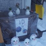 야 언니가 내 <b>설날</b> 용돈 꿀꺽한듯;;;
