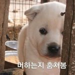 ㄹㅇ 아무것도 안했는데 <b>소외</b>될 때 있지않냐?