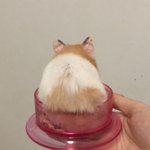 [댓글부탁해] 다들 <b>설날</b> 용돈 한명당 얼마씩 받음?