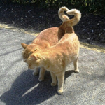 <b>주량</b>확인 어떻게함??