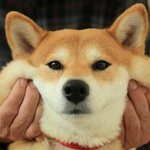 내볼<b>따구</b>