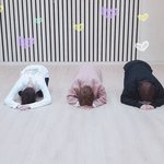 [TXT] 애들 설날(태현이는생일)인데