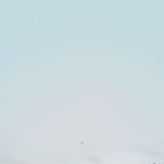 [이삐] 항상 <b>행복</b>했으면 좋겠다