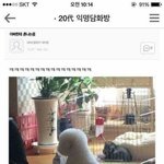 [댓글부탁해] 나 남친이랑 헤어질까ㄹㅇ
