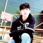 [갓세븐] 새들아 ㅇㅁㄱ 잘하자!