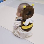 [배고파] 다이어트 끝나면 꼭 초밥먹는다