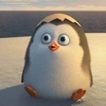 [드루와] 겨드랑이 <b>털</b> 안나는사람?