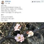 대통령, 설 맞아 <b>양산</b>집 매화사진 올려…"오래봐야 사랑스럽다"