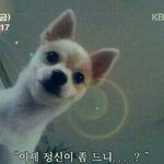 <b>엑소엘</b> 아미 들어와바 시간되면