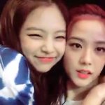 제니랑 지수 냥멍같다 이사진 ㅋㅋㅋ