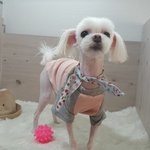 [드루와] 남친 생선 <b>향수</b> ㄱㅊ?????