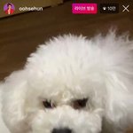 [EXO] 비비 너무 귀여워 쓰담해주고싶어