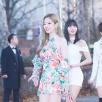 [댓글부탁해] 트와이스 <b>다현</b> 진짜 하얗다