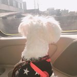 [조언부탁해] 재업해 <b>asmr</b> 메이크업 롤플에서