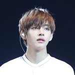 [방탄소년단] 나 입덕중인데...도와줘요...