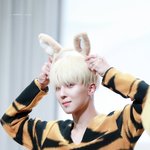 [위너] 작년말부터 올<b>해초</b>