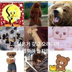 [댓글부탁해] 인스타에서 팬들과 놀아준 엑소 카이