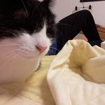 [19] 노포 <b>빛삭</b>