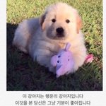 새벽이니까 울컥했던 노래가사 적고가자