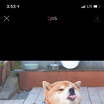 [댓글부탁해] <b>제로</b>쿠션 어때??
