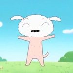 아이돌은 팬싸하는게 좋을까?