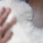 [EXO] 으이이잉~ 잘생겼네라니 세훈이 말투 개귀엽