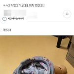 <b>달빛</b>천사 타토랑 루나