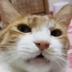 [댓글부탁해] 37만원으로 살거 ㅊㅊ좀