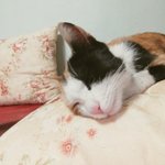 [댓글부탁해] 너네 <b>세뱃돈</b>으로 뭐할거야?