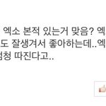 [EXO] 인형 <b>제작</b> 기사 댓