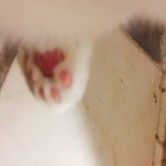 [댓글부탁해] 나 오늘 완벽한 핑크<b>젤리</b> 찍음