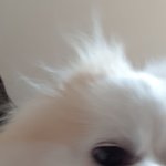[댓글부탁해] 후리스vs후드<b>집</b><b>업</b>