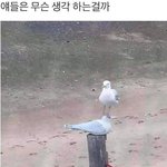 여고가도 남친 사귈 사람은 다 <b>사</b><b>겨</b>?