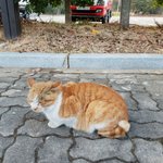 [댓글부탁해] 내가 <b>세뱃돈</b> 180을 받았거든..?