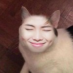 트위터 <b>헤더</b> 추천좀