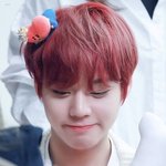 [드루와] 박지훈 <b>타타</b>ㅋㅋㅋ