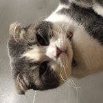 [드루와] 와 생각해보니 연애혁명<b>개소</b>름ㅋㅋㅋㅋㅋㅋ