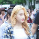 레드벨벳 <b>예리</b> 금발 조카
