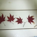 [댓글부탁해] 이거 <b>정해</b>주면 반배정잘됨