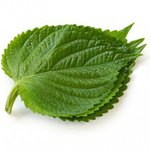 전 세계 유일하게 우리나라에서만 먹는 음식 7