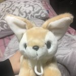 [댓글부탁해] 이 <b>필통</b> 어떰?