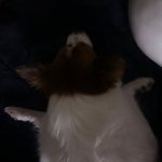 <b>디비</b>디비딥