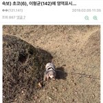 명절시리즈 개웃기네진짴ㅋㅋㅋㅋㅋㅋㅋ