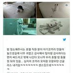 방 <b>청소</b>해주시는 호텔 <b>직원</b> 분이 놓고간것ㄷㄷ